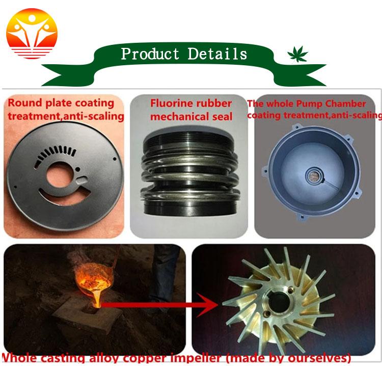 1544678352883946.jpg small pump detail.jpg