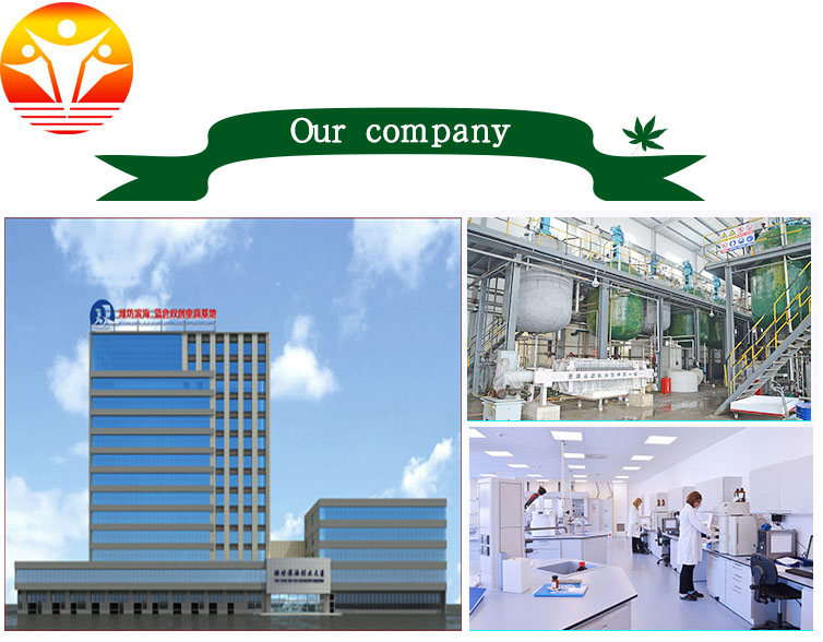 1544757205317577.jpg baler company1.jpg