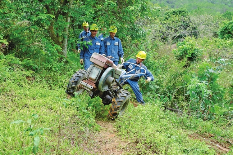 1546583035524375.jpg 1413561925vn.jpg