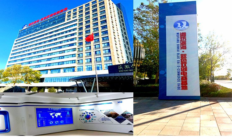 1544758373589776.jpg 515.jpg