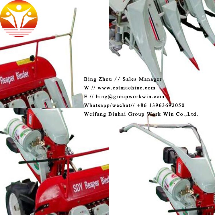 1562223283365750.jpg 未标题-1.jpg