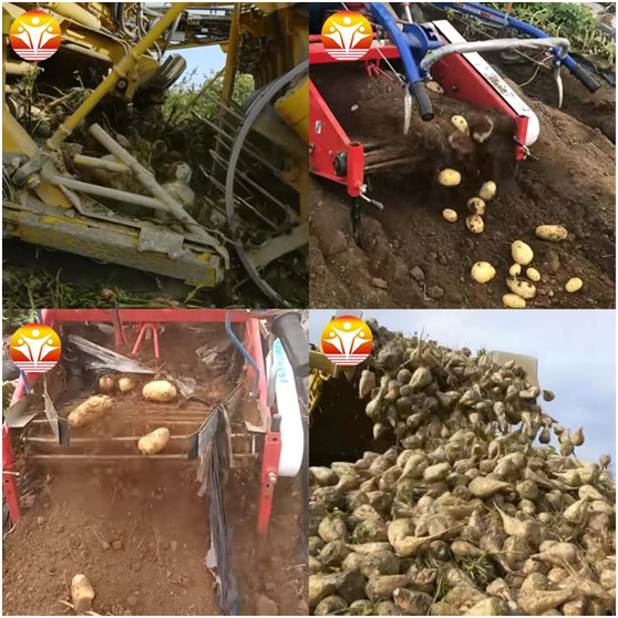 1545275422280167.png image.png