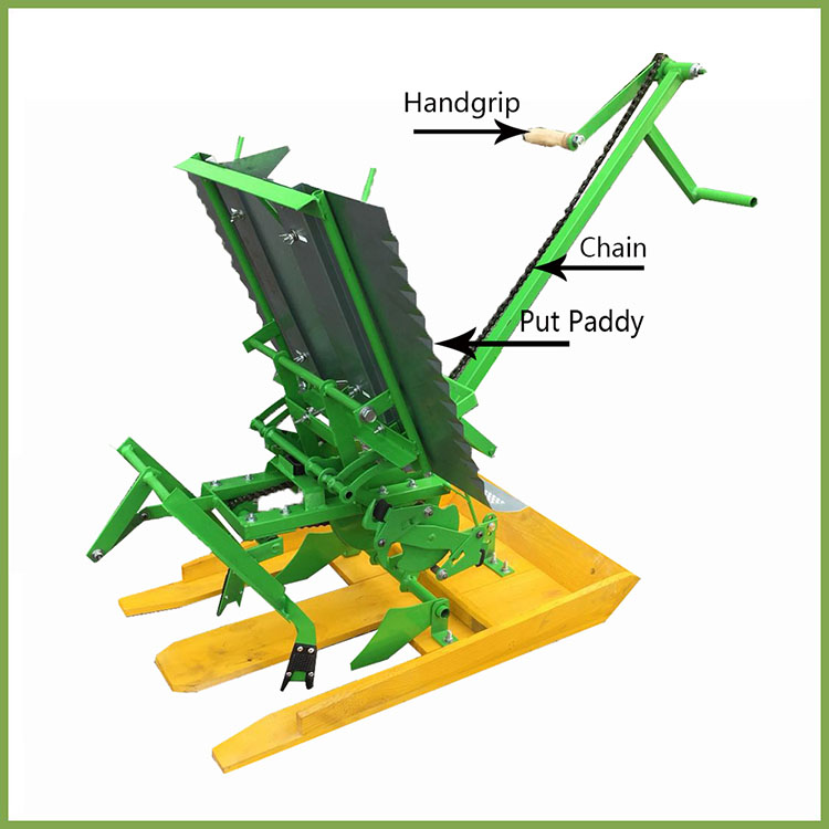 1545892666525660.jpg 2.jpg