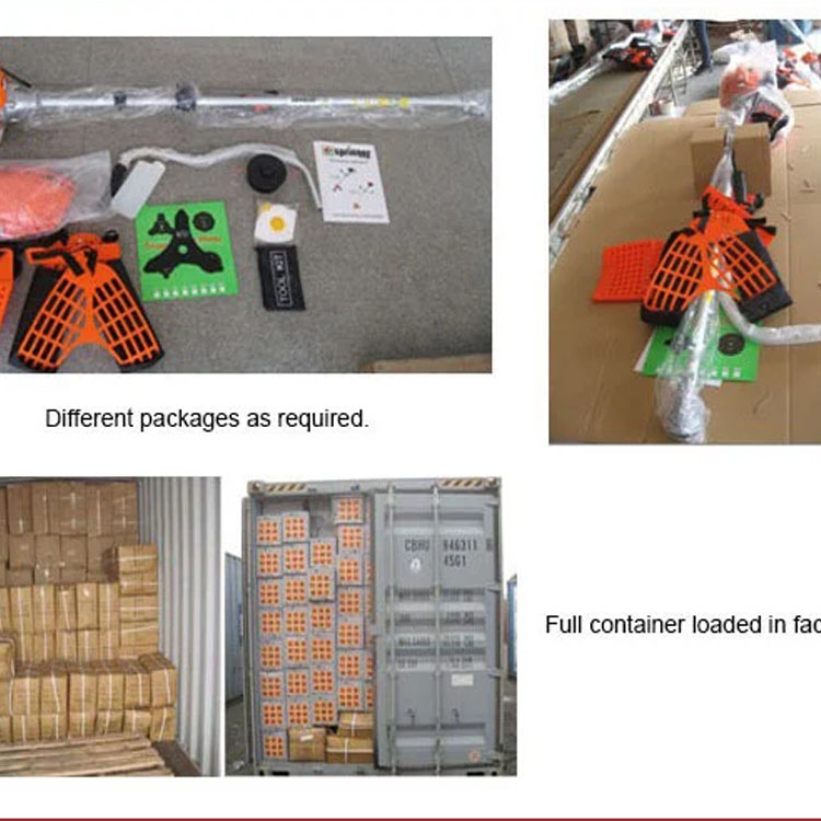 1545701003479358.jpg 9.jpg