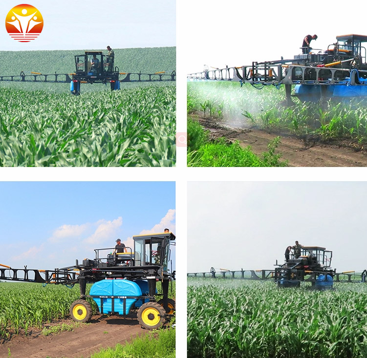 1545359325316193.jpg QQ图片20181221102013.jpg