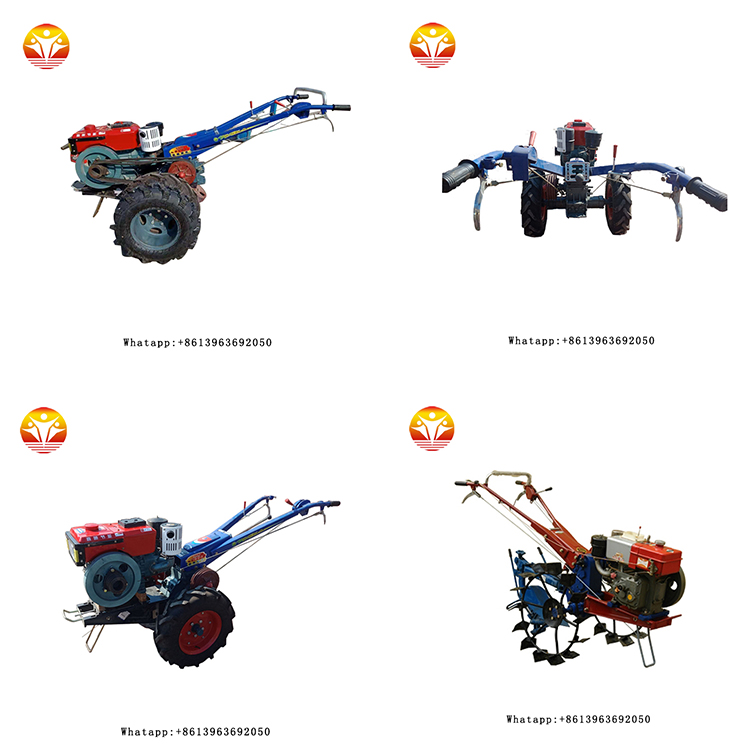 1545377816506669.jpg 172tzt.jpg