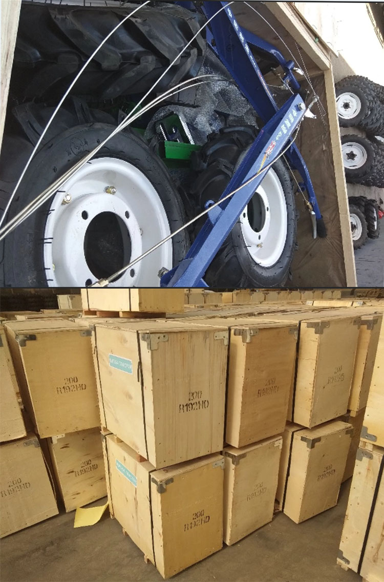 1545719974938325.jpg walkingbao.jpg