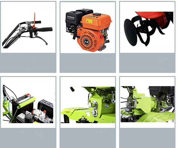 1545007891488723.jpg 45_副本.jpg