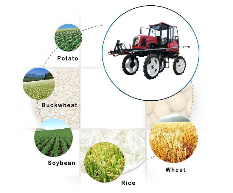 1545286219596792.jpg 6_看图王.jpg