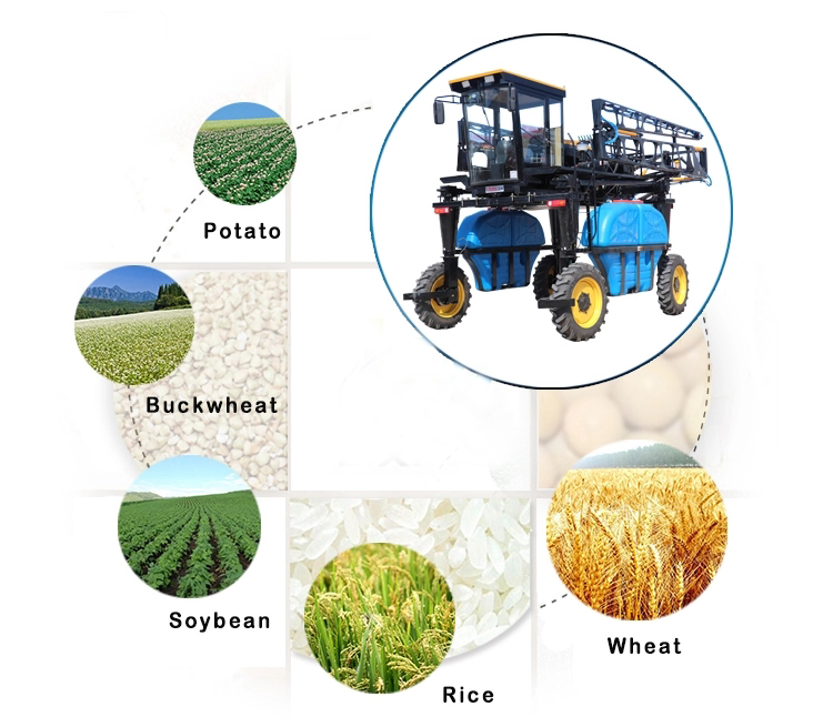 1545288880697702.jpg HTB1vQeSupkoBKNjSZFEq6zrEVXa1.jpg_.webp.jpg