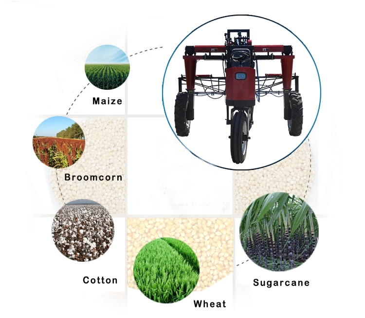 1545290673800522.jpg HTB1v7XeXcfrK1Rjy0Fmq6xhEXXa4.jpg_.webp.jpg