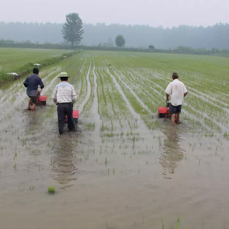 1546346290210230.jpg 未标题-1.jpg