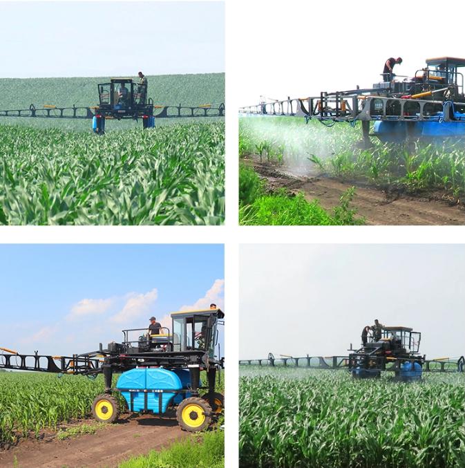 1546475813926747.jpg 图片2.jpg