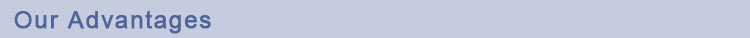 1545122869606141.jpg our advantages.jpg