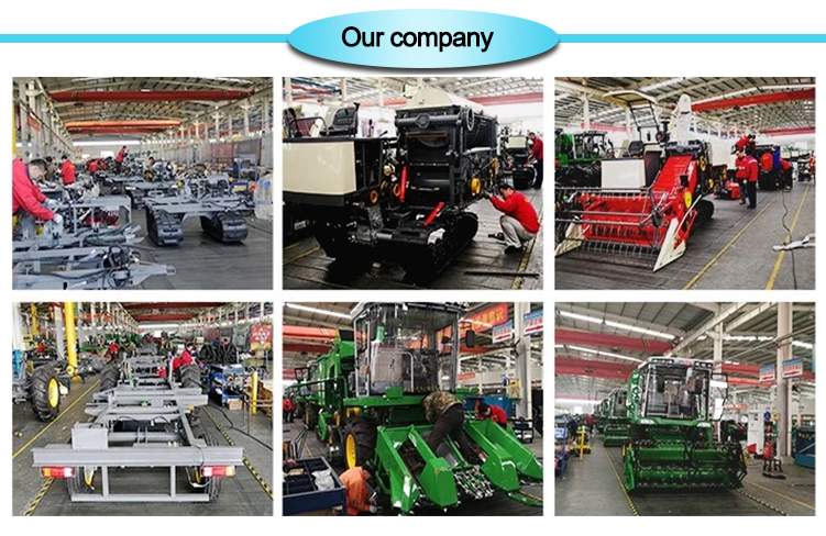 1562046588721338.jpg 公司.jpg