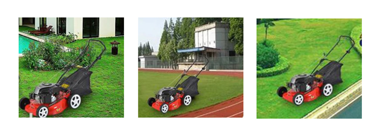 1545032498709649.png image.png