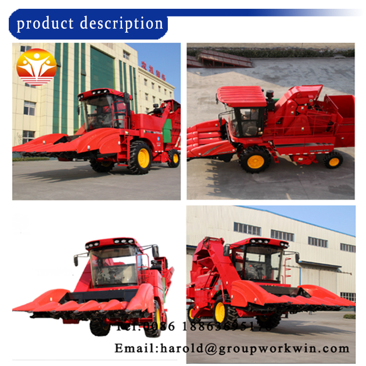 1545708750797319.jpg 产品描述1.jpg