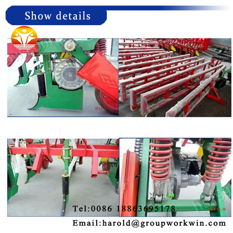 1545716533980292.jpg 细节展示2.jpg