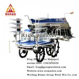 Agriculture Planter 6 Rows Walking Paddy Rice Transplanter