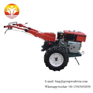 two cylinder air cooled diesel engine economic farm tractor