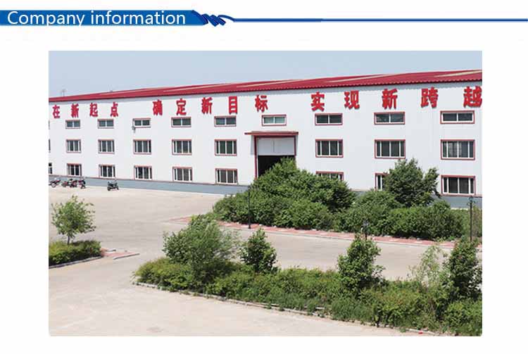 company information.jpg