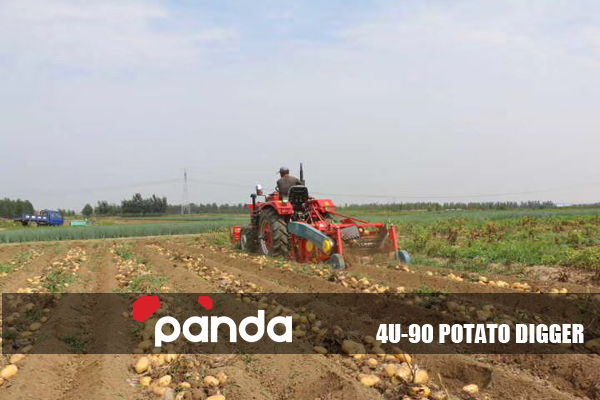 20-35 HP tractor mounted potato harvester