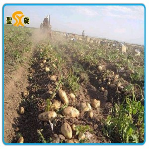 80 Cm Width Potato Harvester/Digger with Best Price